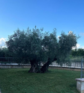 Il Melograno Spoleto